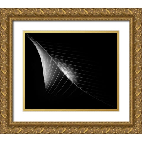 Scimitar 3 ( The Eclipse) Gold Ornate Wood Framed Art Print with Double Matting by Thabet, Ahmed