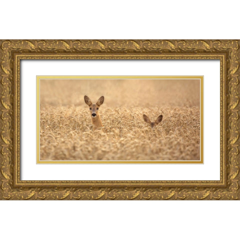 Mother With Child Gold Ornate Wood Framed Art Print with Double Matting by Wallberg, Allan