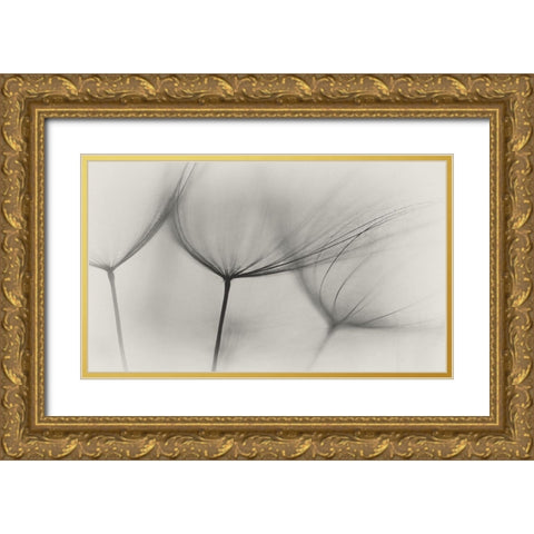 Tragopogon Gold Ornate Wood Framed Art Print with Double Matting by Gronkjar, Lotte