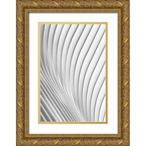 Calatrava Lines Gold Ornate Wood Framed Art Print with Double Matting by Budny, Christopher