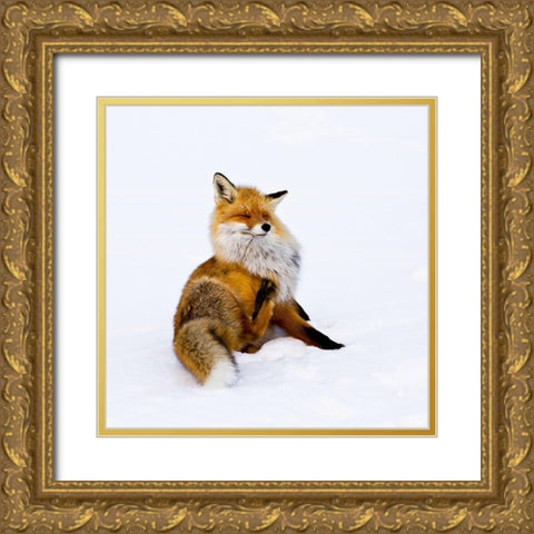 Winterfox Gold Ornate Wood Framed Art Print with Double Matting by Lindstrom, Pia