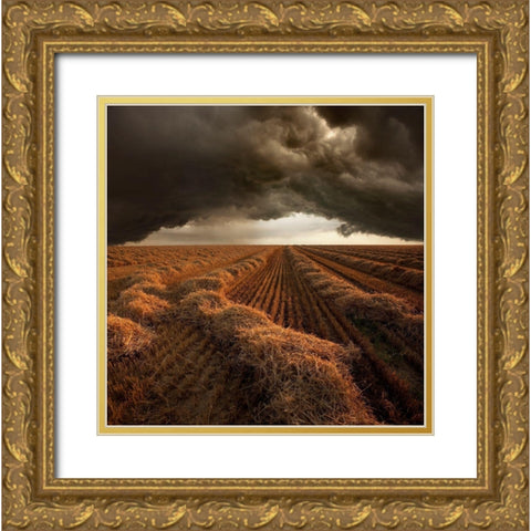 Untitled Gold Ornate Wood Framed Art Print with Double Matting by Schumacher, Nicolas