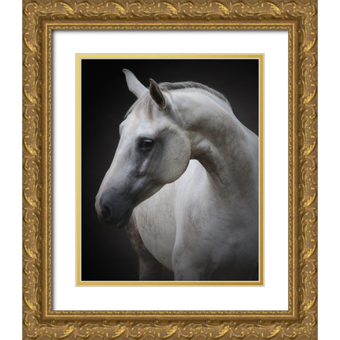 Maggie Gold Ornate Wood Framed Art Print with Double Matting by Avivi, Avishai