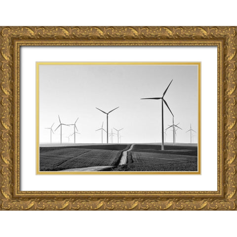 Winding Gold Ornate Wood Framed Art Print with Double Matting by Avramescu, Emilian