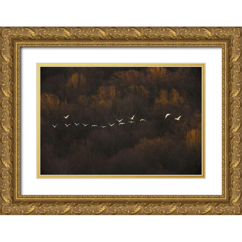 Morning Mood Gold Ornate Wood Framed Art Print with Double Matting by Li, Austin