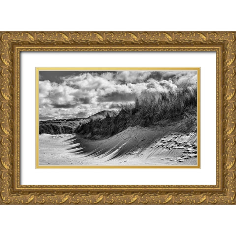 Dunes In Donegal Gold Ornate Wood Framed Art Print with Double Matting by Lee Miller, Alan