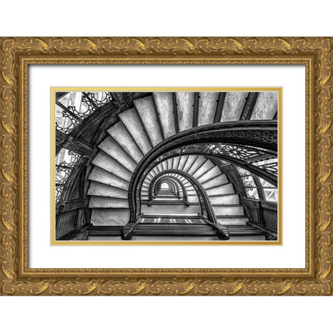 The Rookery Gold Ornate Wood Framed Art Print with Double Matting by Sun, Yimei