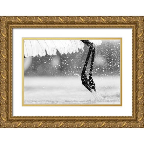 Taking Off Gold Ornate Wood Framed Art Print with Double Matting by Zuo, Jun