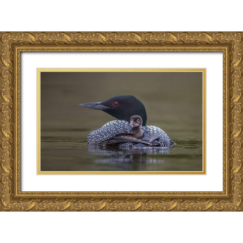 Back Seat Gold Ornate Wood Framed Art Print with Double Matting by Barsh, Greg