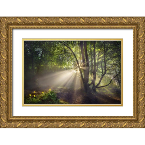 The Morning Light Gold Ornate Wood Framed Art Print with Double Matting by Osuna, Fran