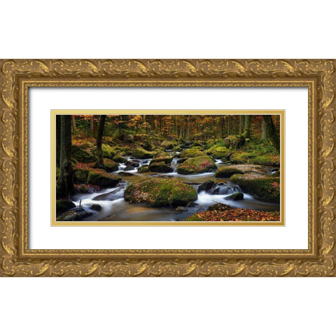 Autumn Waters Gold Ornate Wood Framed Art Print with Double Matting by Maier, Norbert