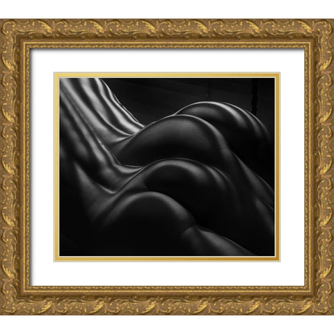 Female Zebra Stripes Gold Ornate Wood Framed Art Print with Double Matting by Dixon, Colin