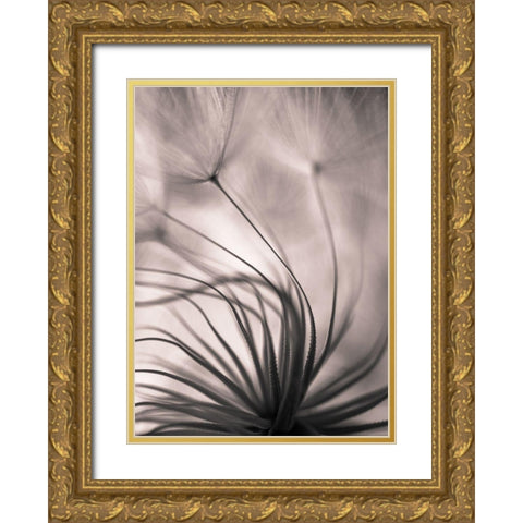 Untitled Gold Ornate Wood Framed Art Print with Double Matting by Or, Keren