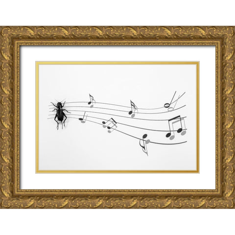 The Music Of Nature Gold Ornate Wood Framed Art Print with Double Matting by Mallus, Stefano