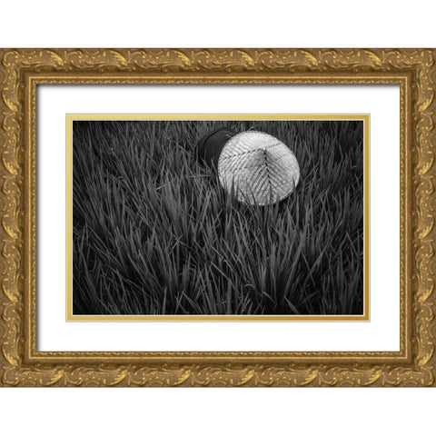 Rice Fields In Bw Gold Ornate Wood Framed Art Print with Double Matting by Salgado Gispert, Gloria