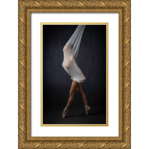 Sheer Stretch Gold Ornate Wood Framed Art Print with Double Matting by Catchlight Studio