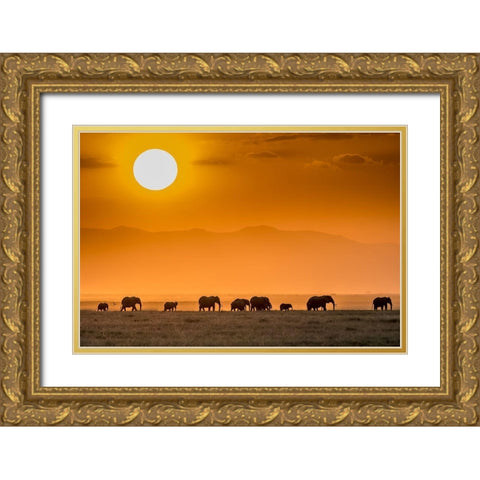 Sunrise Over Amboseli Gold Ornate Wood Framed Art Print with Double Matting by C. Sink, Jeffrey
