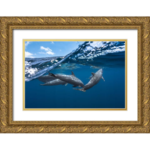 Dolphins Gold Ornate Wood Framed Art Print with Double Matting by Gabriel, Barathieu