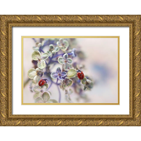 Fragile Gold Ornate Wood Framed Art Print with Double Matting by Van Deelen, Ellen