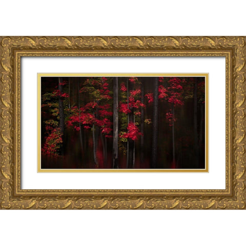Getting Red Gold Ornate Wood Framed Art Print with Double Matting by Hu, Andy