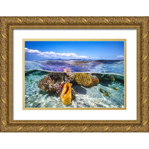 Lagoon Life Gold Ornate Wood Framed Art Print with Double Matting by Gabriel, Barathieu