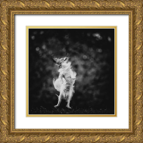 ...Joyfulness... Gold Ornate Wood Framed Art Print with Double Matting by Gerec, Pali
