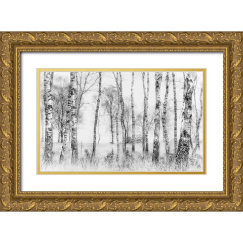Black And White Gold Ornate Wood Framed Art Print with Double Matting by Talen, Nel