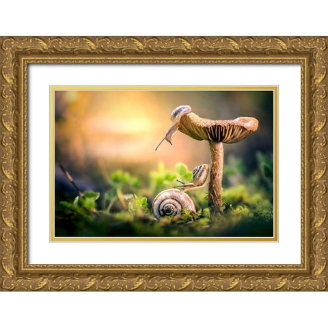 The Awakening Of Snails Gold Ornate Wood Framed Art Print with Double Matting by Ghizzi Panizza, Alberto