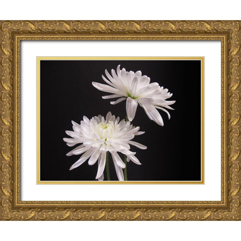 Simple Beauty Gold Ornate Wood Framed Art Print with Double Matting by Holm, Kelly