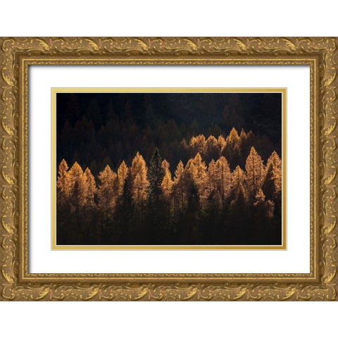 Light For A Few Gold Ornate Wood Framed Art Print with Double Matting by Manzoni, Michel