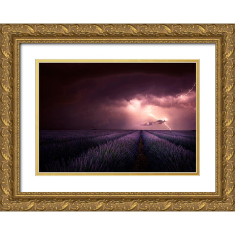 Lavender Fragrance Gold Ornate Wood Framed Art Print with Double Matting by Schumacher, Nicolas