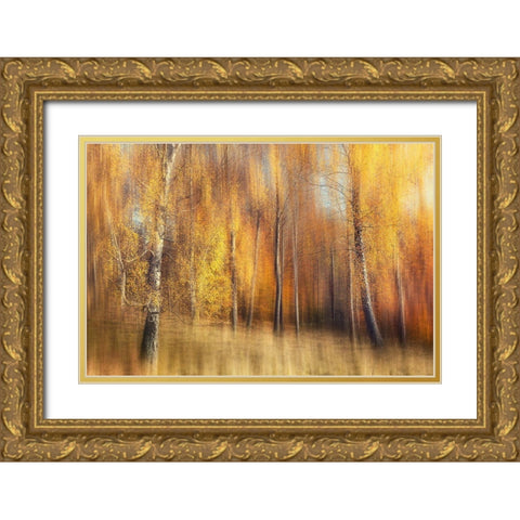 Autumn Birches Gold Ornate Wood Framed Art Print with Double Matting by Davidsson, Gustav