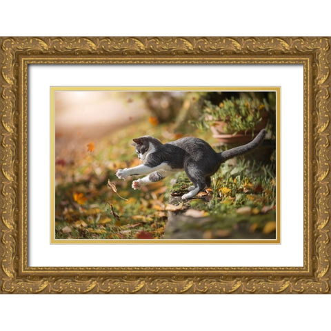 Autumn Play Gold Ornate Wood Framed Art Print with Double Matting by Dejana