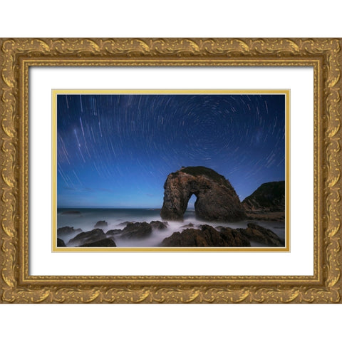 Horse Head Rock Gold Ornate Wood Framed Art Print with Double Matting by Zhu, Jingshu