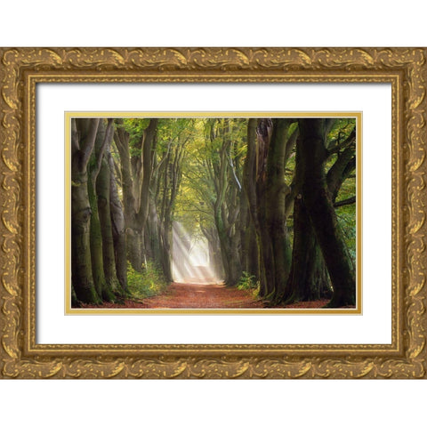 A Glorious Day Gold Ornate Wood Framed Art Print with Double Matting by Borggreve, Ellen