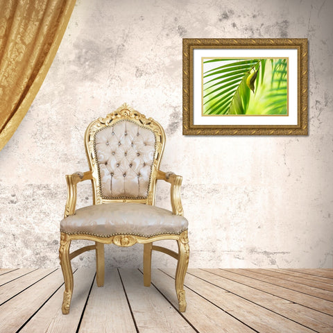50 Shades Of Green Gold Ornate Wood Framed Art Print with Double Matting by Bariviera, Daniele
