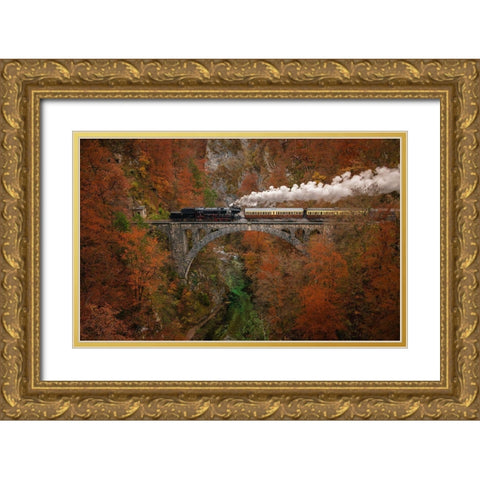 Museum Train Gold Ornate Wood Framed Art Print with Double Matting by Krivec, Ales