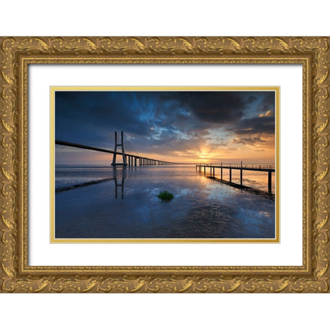 P H Y S I C A L Gold Ornate Wood Framed Art Print with Double Matting by Resende, Carlos