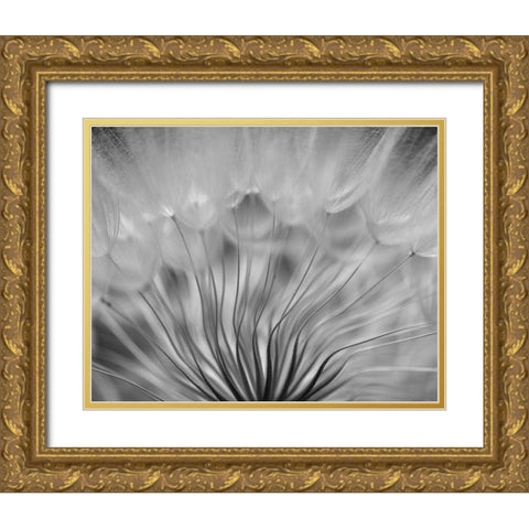 Dream Gold Ornate Wood Framed Art Print with Double Matting by Or, Keren