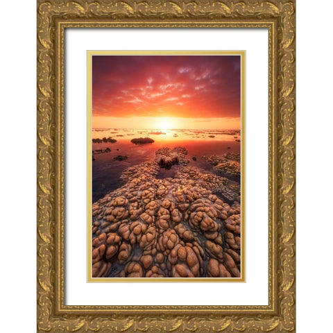 Low Tide On The Lagoon Of Saint Leu. Gold Ornate Wood Framed Art Print with Double Matting by Gabriel, Barathieu