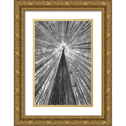 The Giant Gold Ornate Wood Framed Art Print with Double Matting by Casanova, Francois