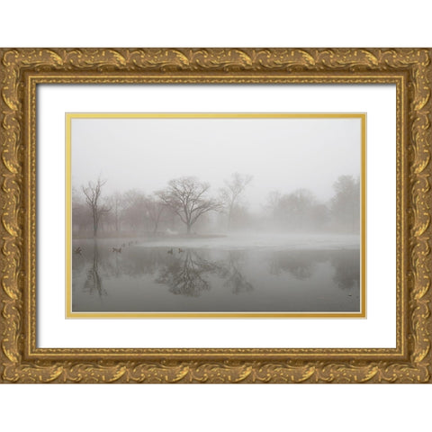 Untitled Gold Ornate Wood Framed Art Print with Double Matting by Lee, Haejung