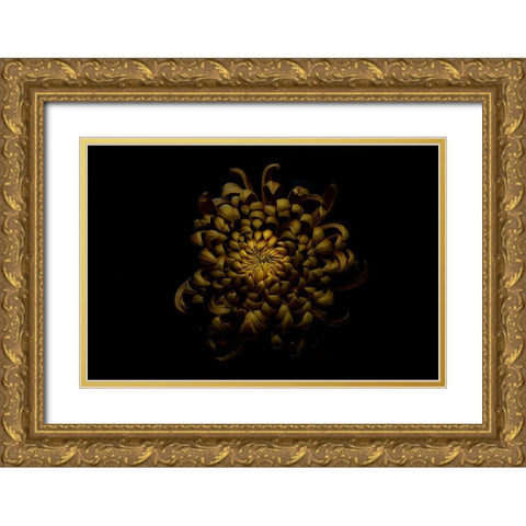 Chrysanthemum Gold Ornate Wood Framed Art Print with Double Matting by Gronkjar, Lotte