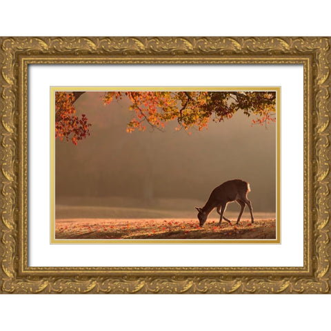 First Autumn Gold Ornate Wood Framed Art Print with Double Matting by Matsui, Yoshinori