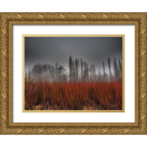 Untitled Gold Ornate Wood Framed Art Print with Double Matting by Ruiz Rivas, Ja