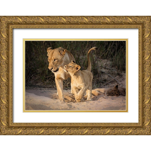 Happy Gold Ornate Wood Framed Art Print with Double Matting by Bonadio, Heather