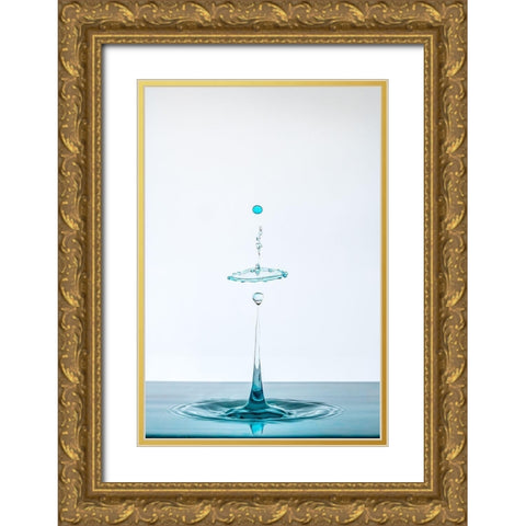 Drop Gold Ornate Wood Framed Art Print with Double Matting by Prieto, Adamo