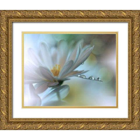 Light Touch... Gold Ornate Wood Framed Art Print with Double Matting by Nan, Juliana