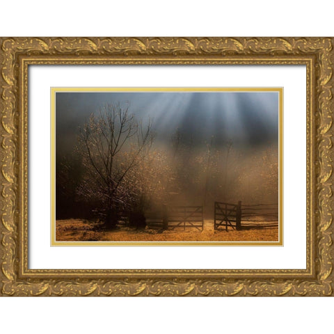 Heavens Door Gold Ornate Wood Framed Art Print with Double Matting by Dorin Lucian, Sveduneac