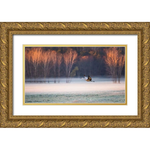 Lonely Flyer Gold Ornate Wood Framed Art Print with Double Matting by Luo, Jane